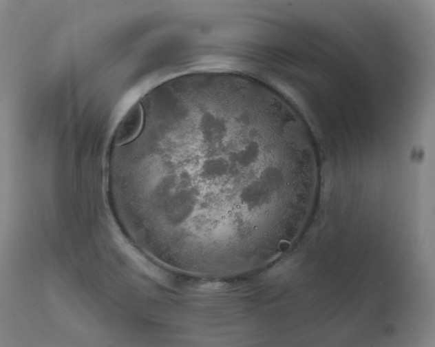 X0000112021467200908031345