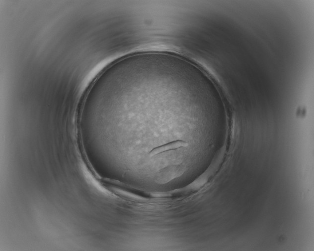 X0000112021468200908031345