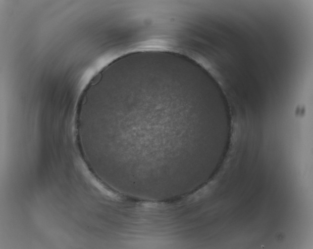 X0000112021469200908031345