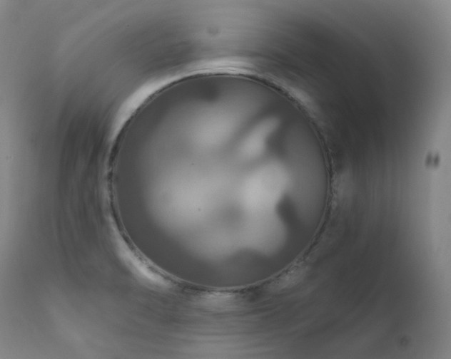 X0000112021470200908031345