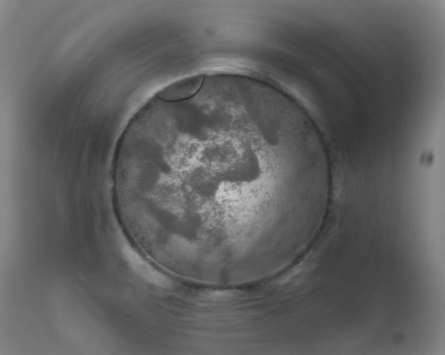 X0000112021471200908031345