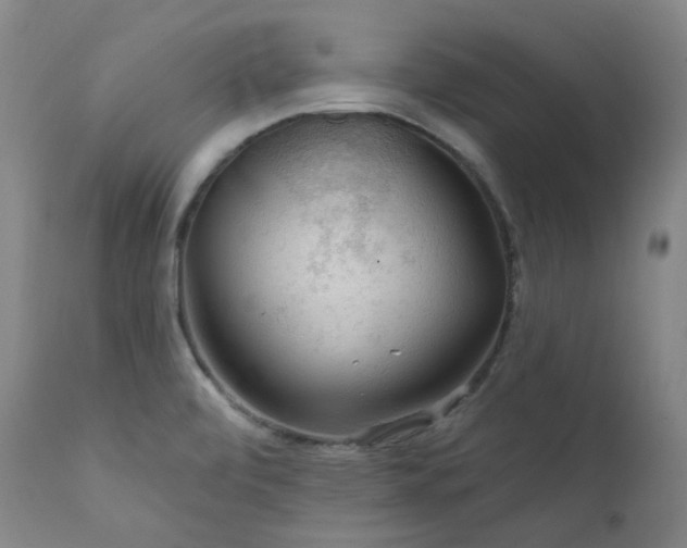 X0000112021472200908031345