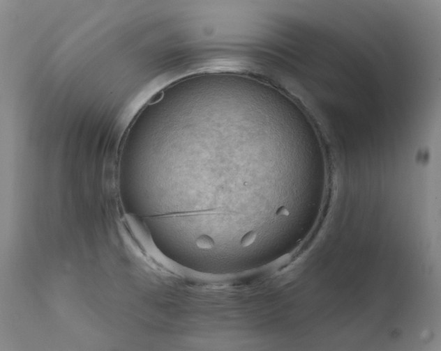 X0000112021473200908031345