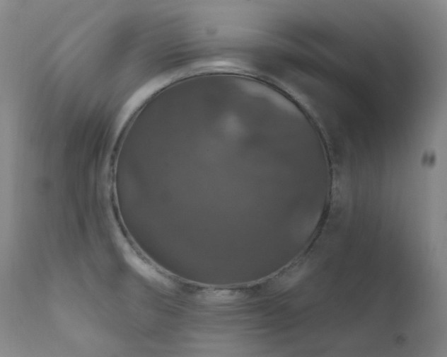 X0000112021474200908031345