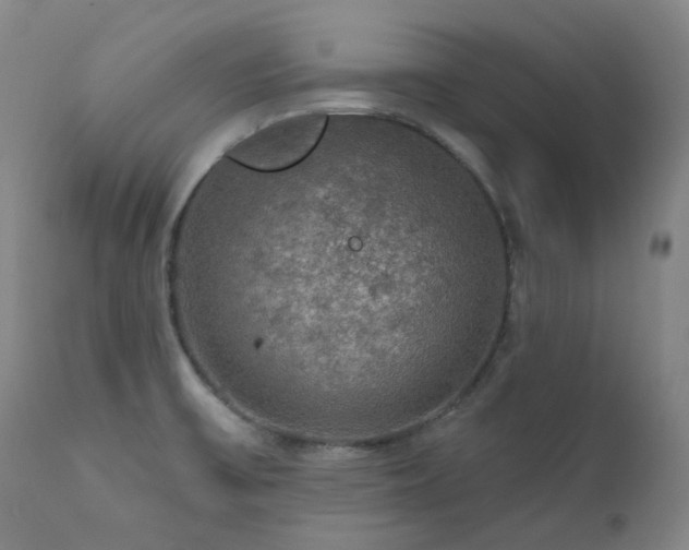 X0000112021475200908031345