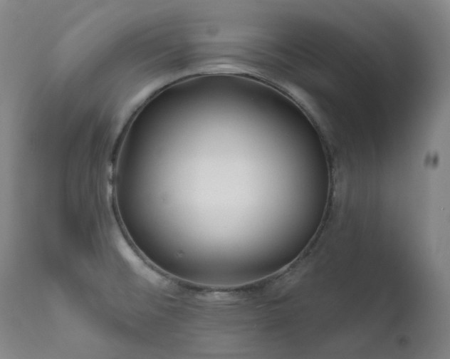 X0000112021476200908031345