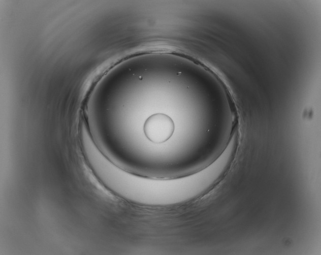 X0000112021477200908031345