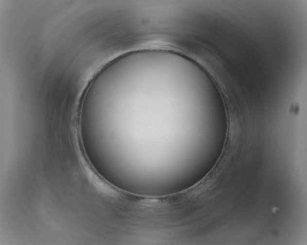 X0000112021478200908031345