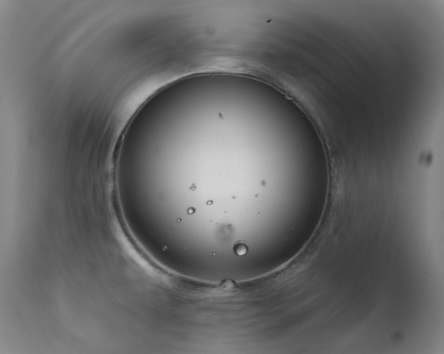 X0000112021479200908031345