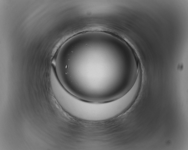 X0000112021481200908031345