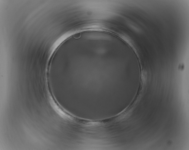 X0000112021482200908031345