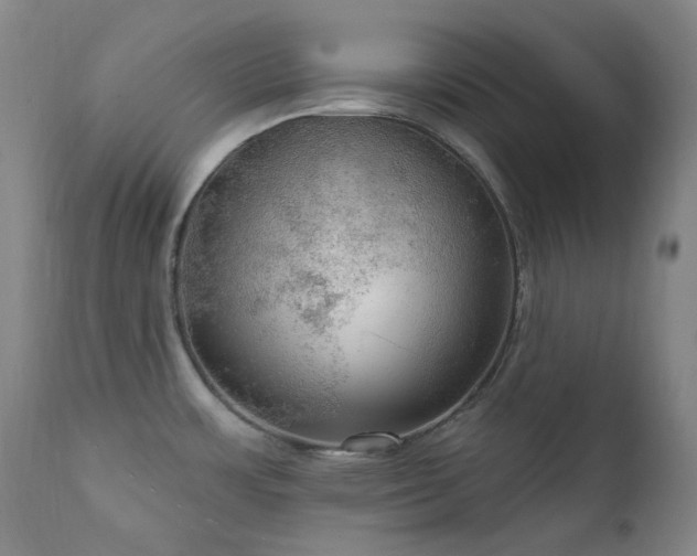 X0000112021483200908031345