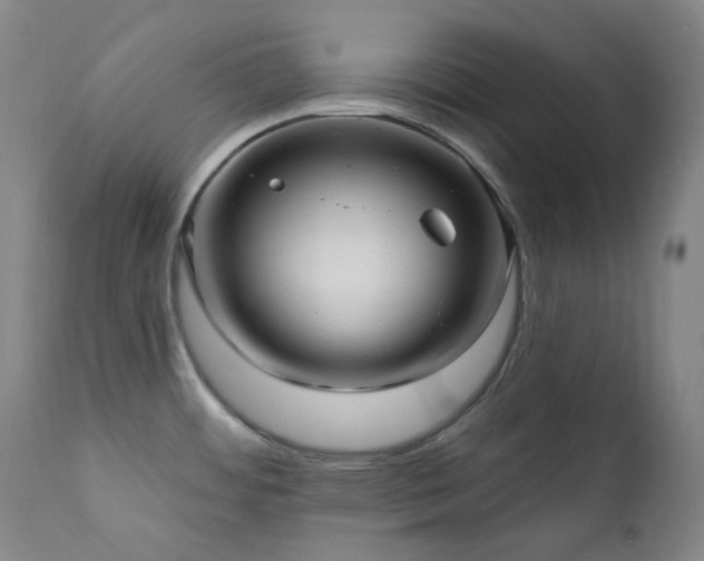 X0000112021484200908031345