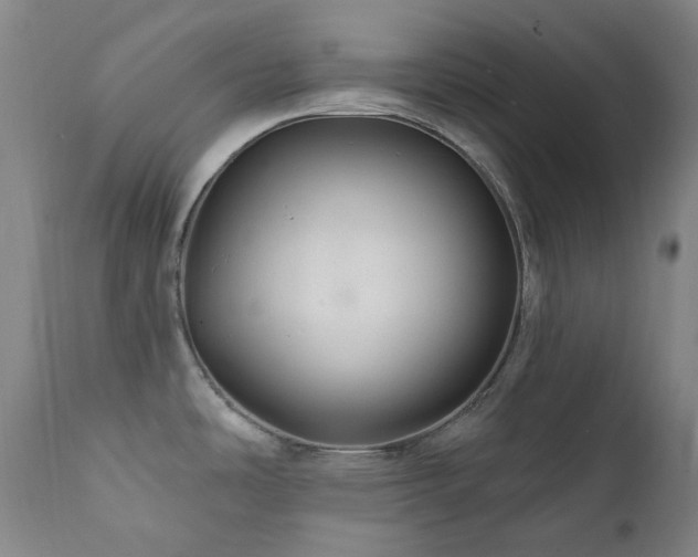 X0000112021486200908031345