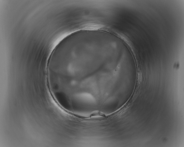 X0000112021487200908031345