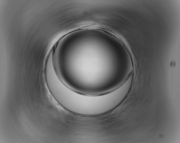 X0000112021488200908031345