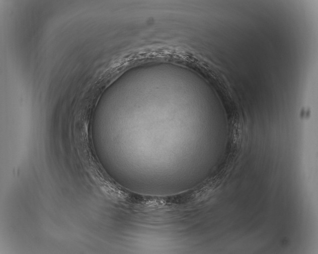 X0000112021489200908031344