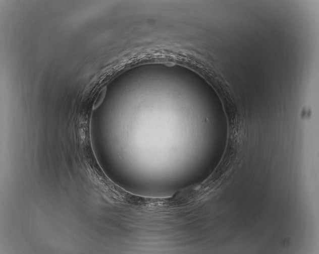 X0000112021490200908031344