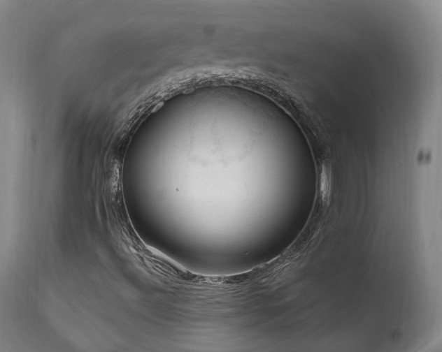 X0000112021492200908031344