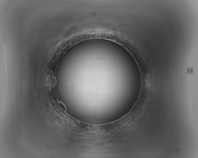 X0000112021493200908031344