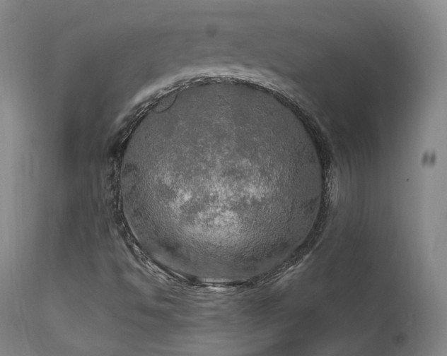 X0000112021494200908031344