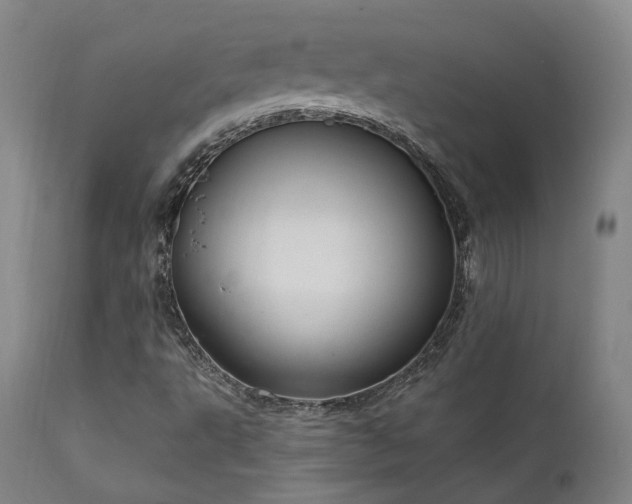 X0000112021495200908031344