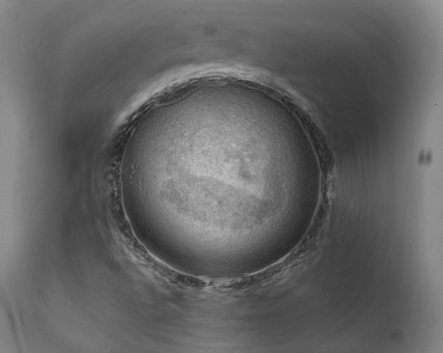 X0000112021496200908031344