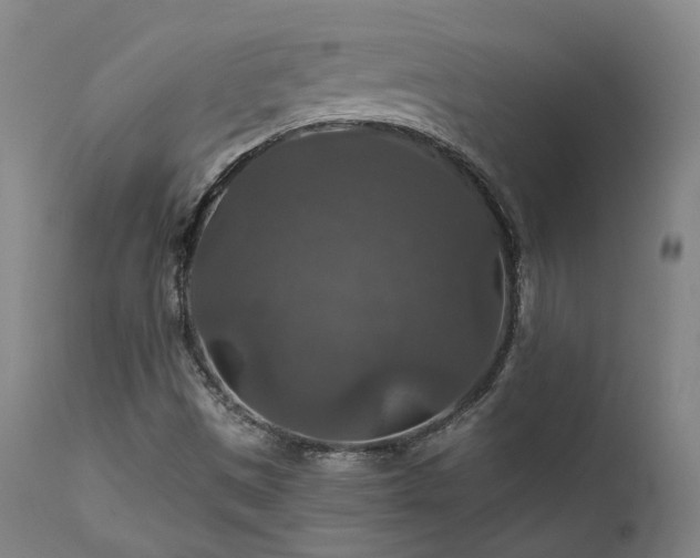 X0000112021497200908031344