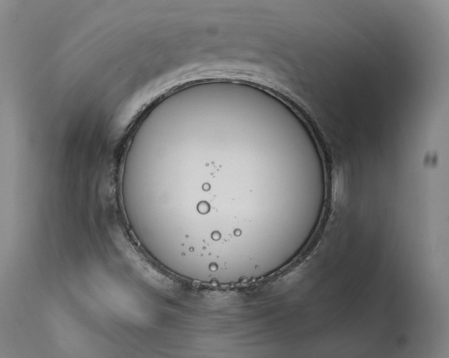 X0000112021498200908031344