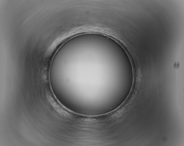 X0000112021499200908031344