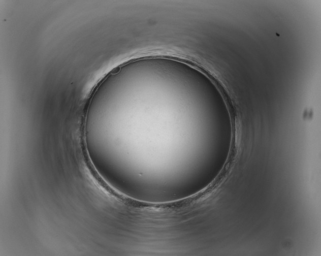 X0000112021500200908031344