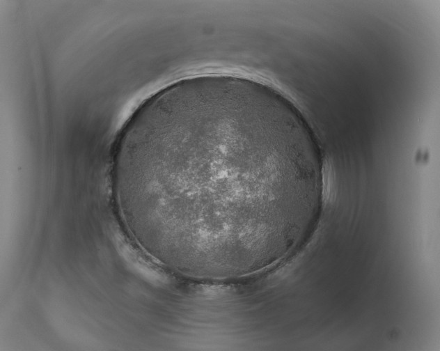 X0000112021501200908031344