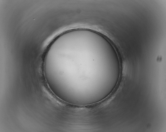 X0000112021502200908031344