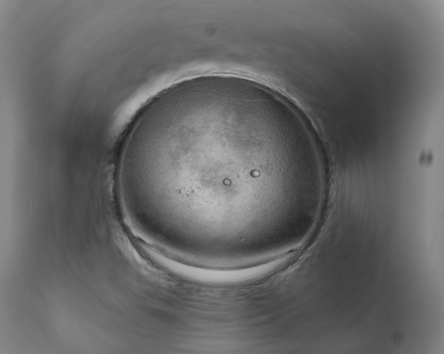 X0000112021503200908031344