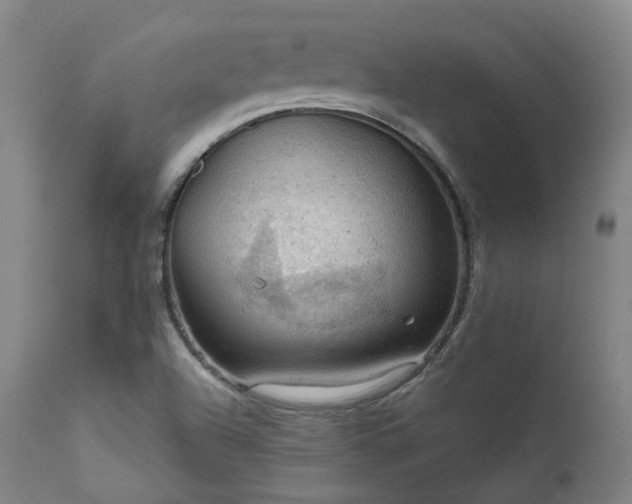 X0000112021504200908031344