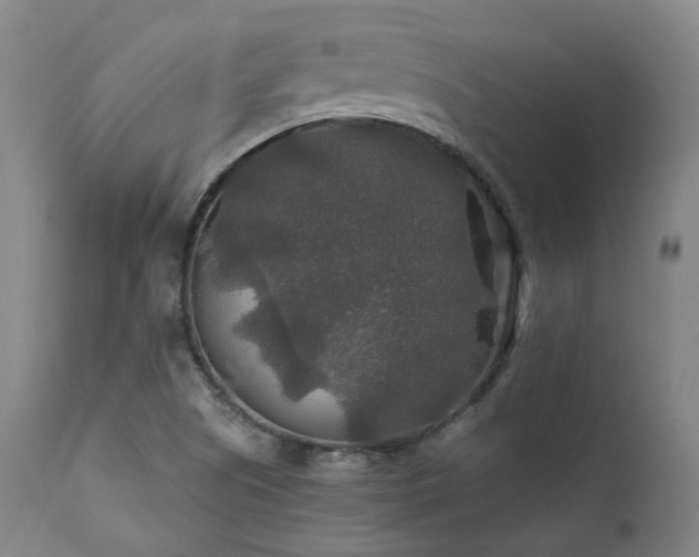 X0000112021505200908031344