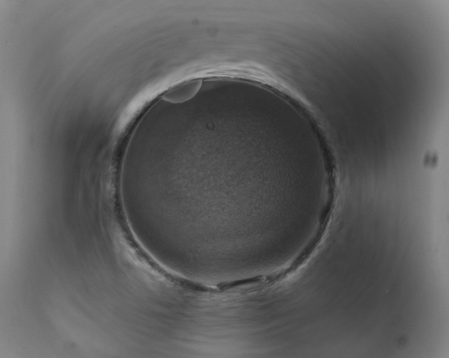 X0000112021506200908031344