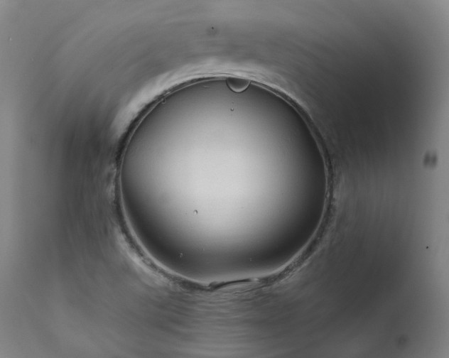 X0000112021507200908031344