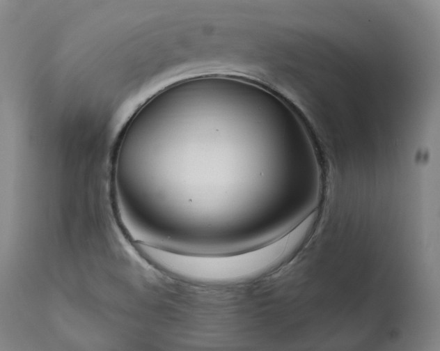 X0000112021508200908031345