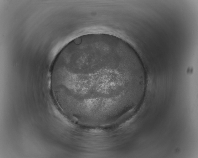 X0000112021509200908031345