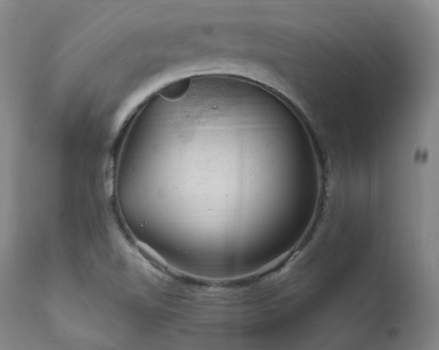 X0000112021510200908031345