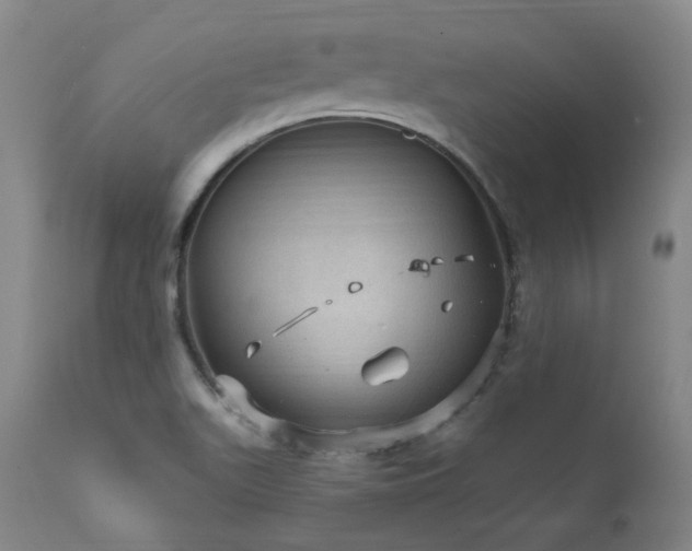 X0000112021511200908031345