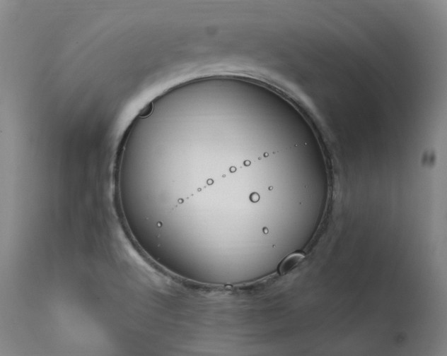 X0000112021512200908031345