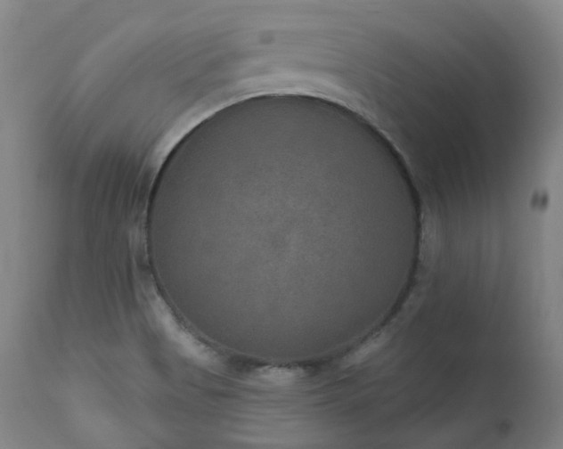 X0000112021513200908031345