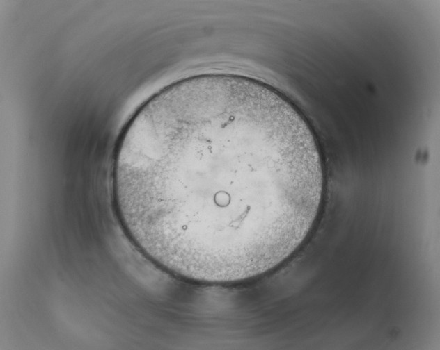 X0000112021514200908031345