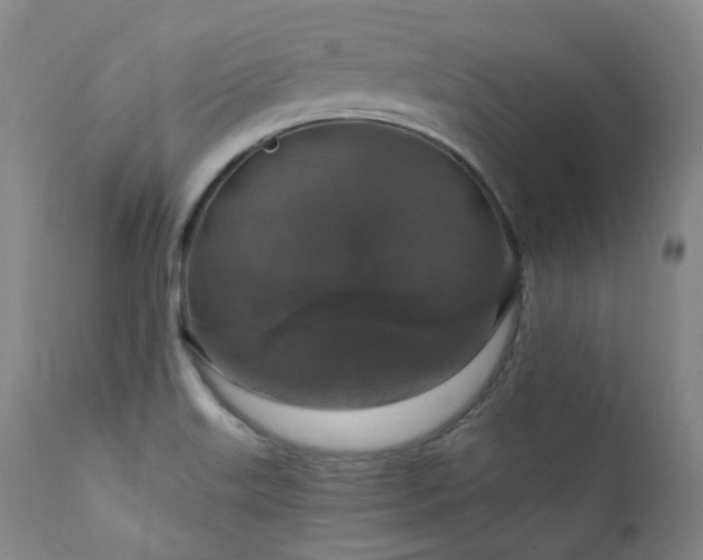 X0000112021515200908031345