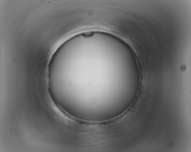 X0000112021516200908031345