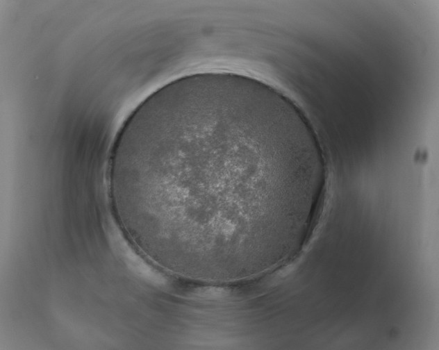 X0000112021517200908031345