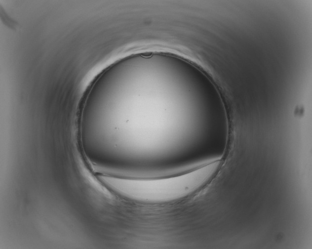 X0000112021518200908031345