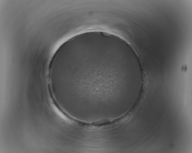 X0000112021519200908031345